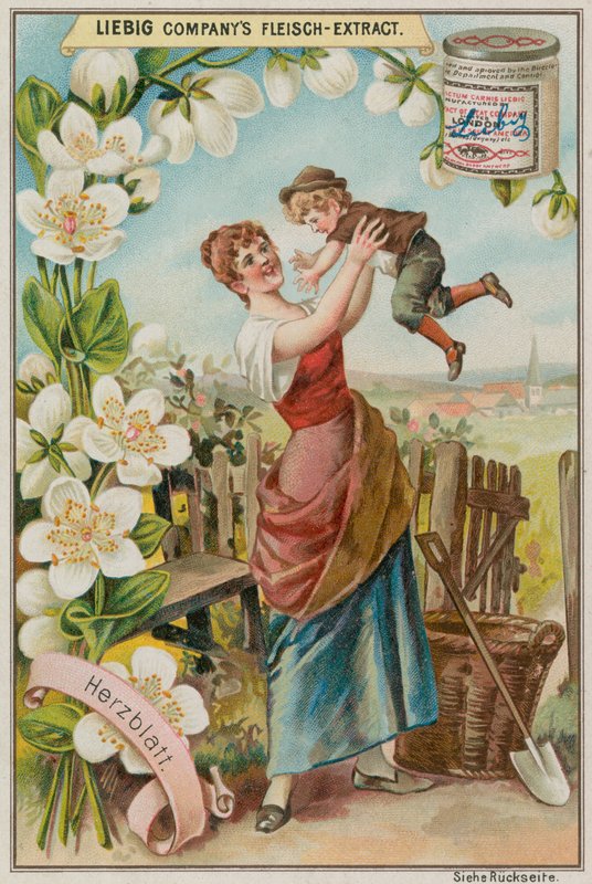 Parnassia door European School