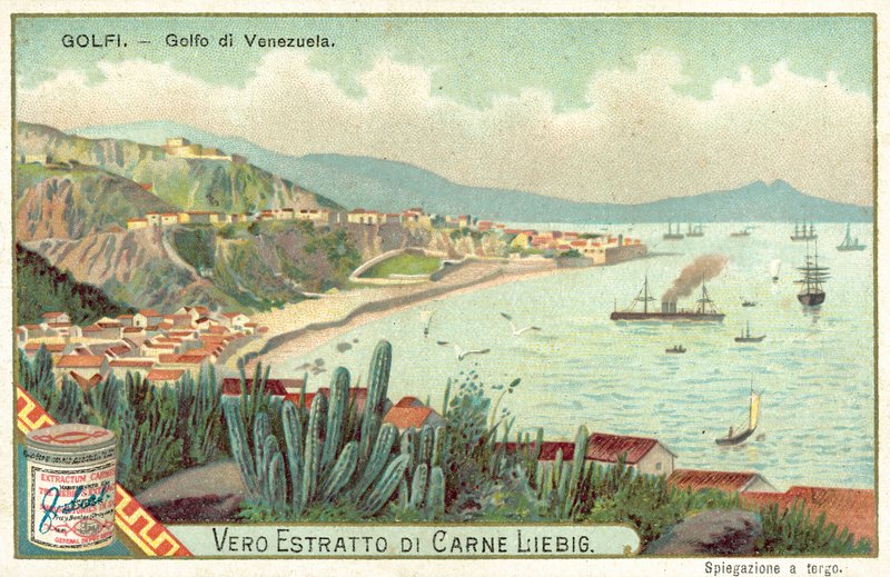 Golf van Venezuela door European School