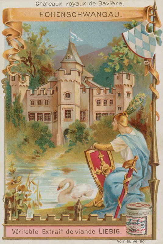 Hohenschwangau door European School