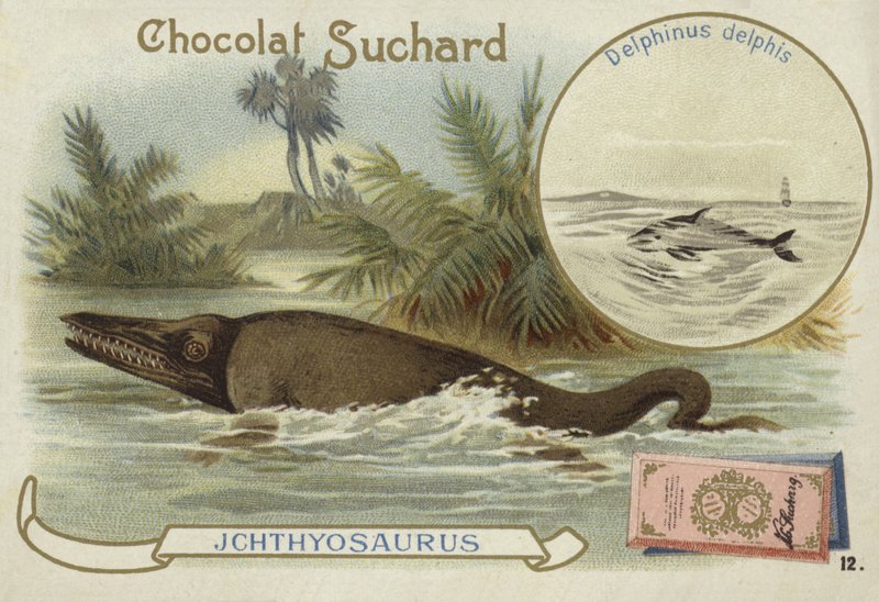 Ichthyosaurus en gewone dolfijn door European School