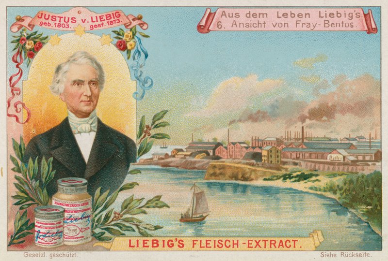 Justus von Liebig: Uitzicht op Fray-Bentos door European School