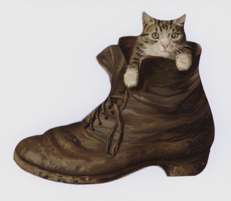 Kitten in een laars door European School