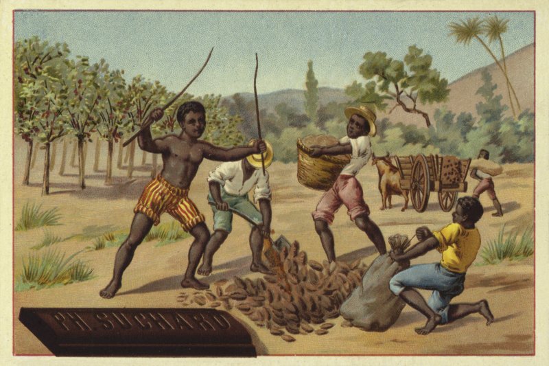 Cacaobonen in zakken laden, Afrika door European School