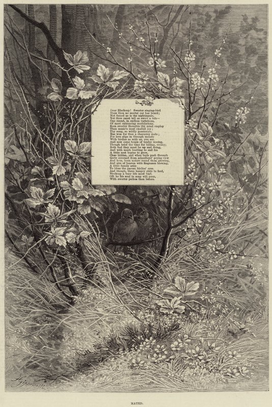 Gepaarde (gravure) door European School
