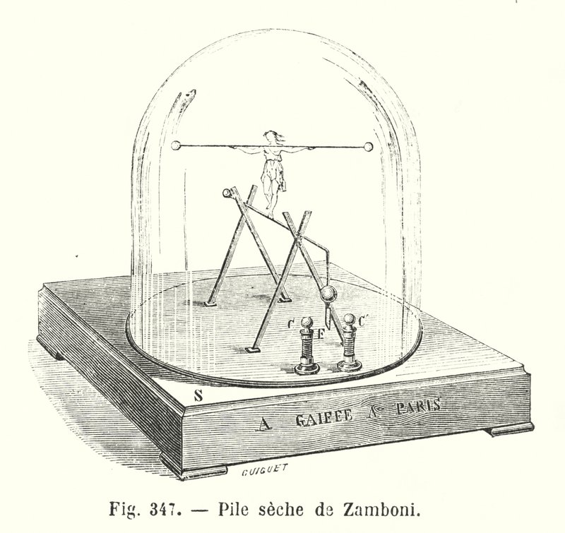 Zamboni