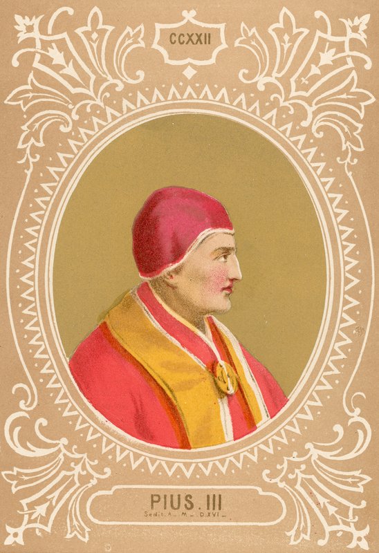 Pius III door European School