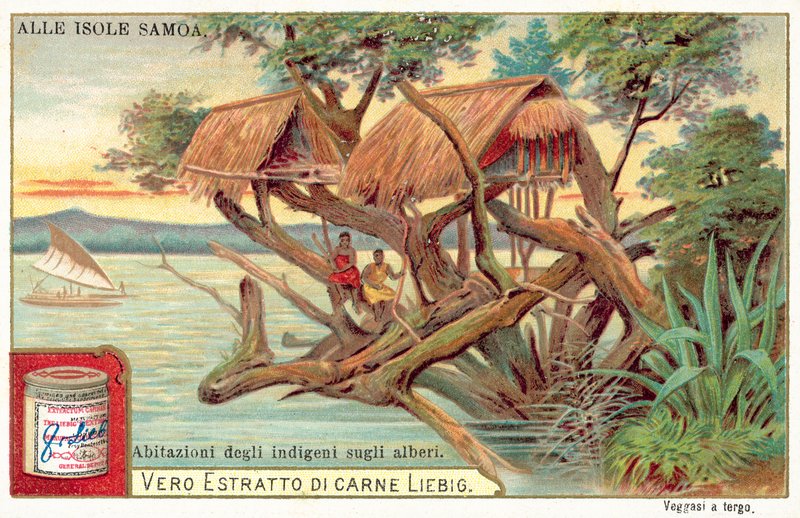 Samoaanse boomhut door European School