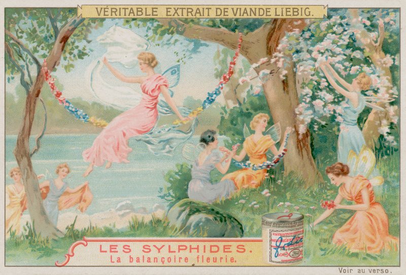 Sylfen en een Bloemenschommel door European School