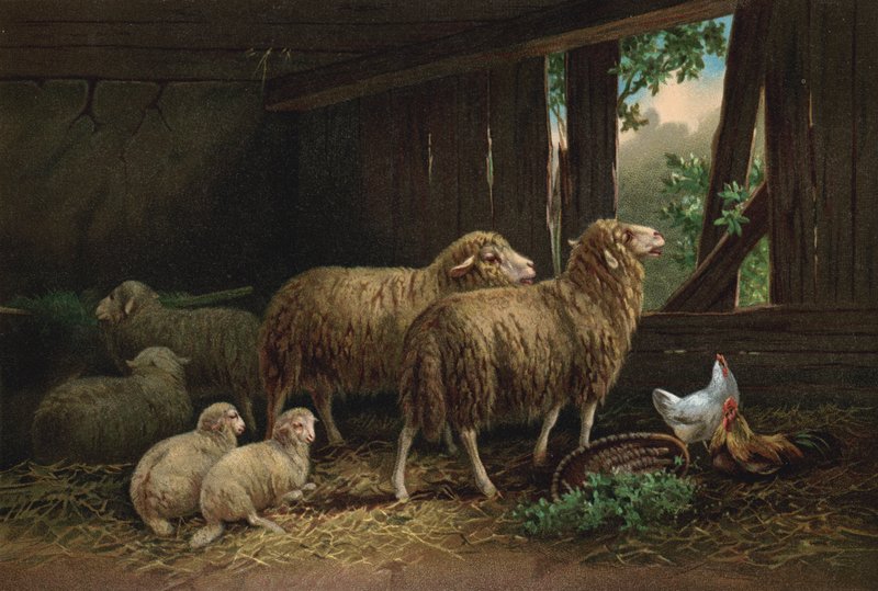 De Schaapskooi door European School