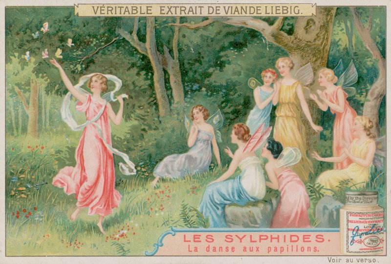 De Sylfen Dansen met Vlinders door European School