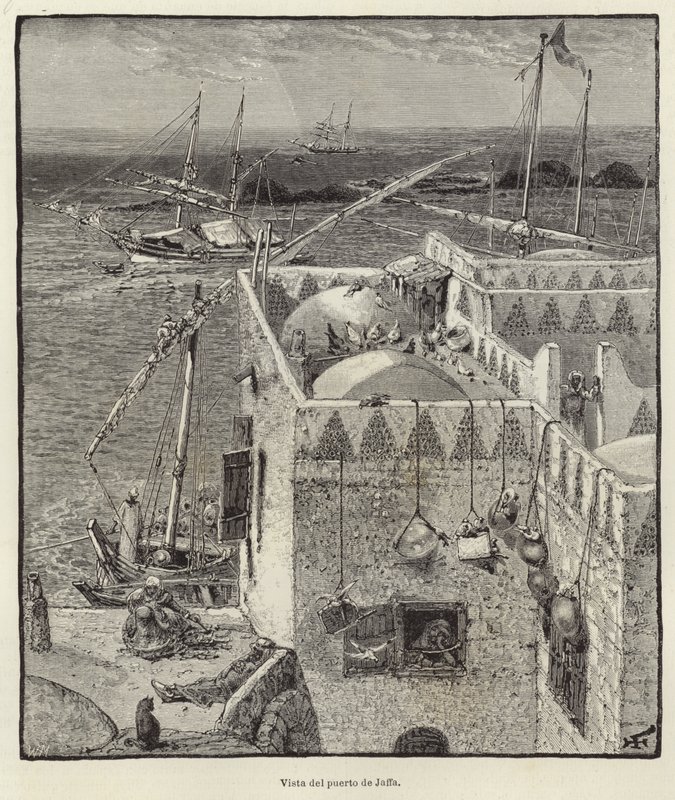 Uitzicht op de haven van Jaffa door European School