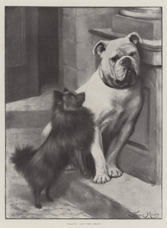 Belle en het Beest door Fannie Moody