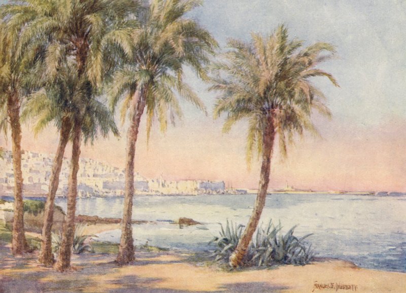 Algiers vanuit de Jardin d