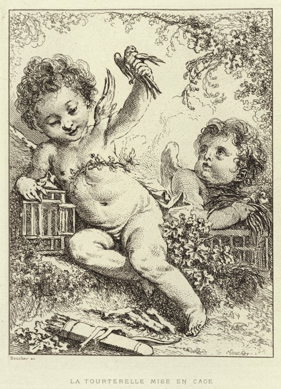 De Duif in de Kooi door Francois (after) Boucher