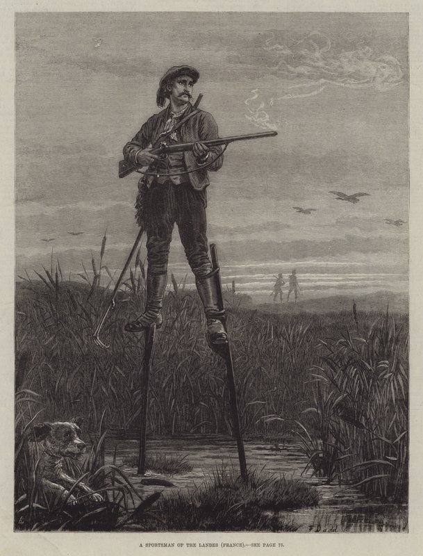 Een Jager uit de Landes (Frankrijk) door Frank Dadd