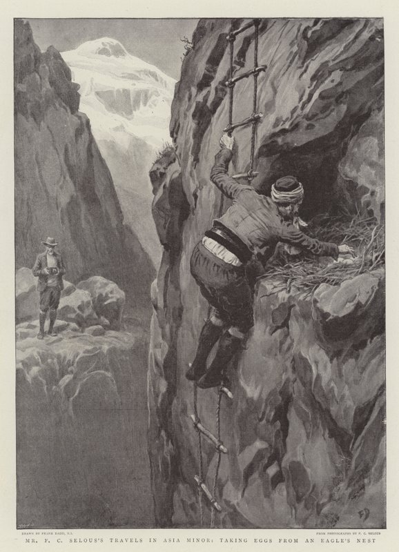 De Reizen van de Heer F.C. Selous in Klein-Azië, eieren uit een arendsnest halen door Frank Dadd