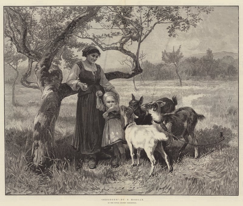 Belegerd door Frederick Morgan