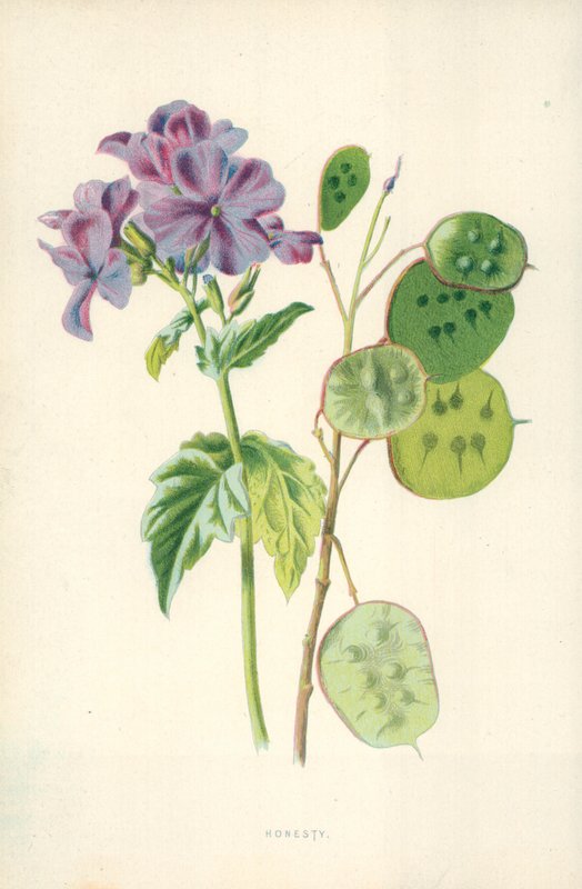 Eerlijkheid door Frederick Edward Hulme