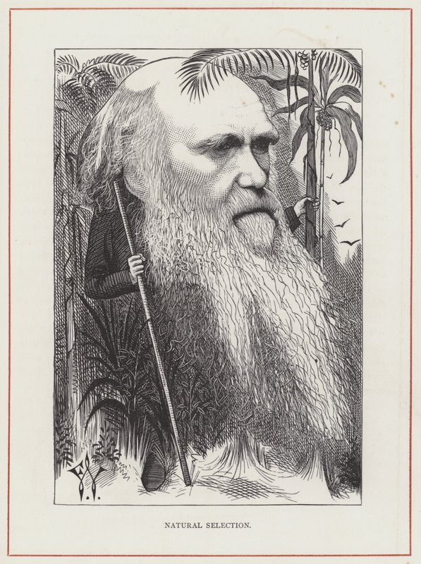 Charles Darwin door Frederick Waddy