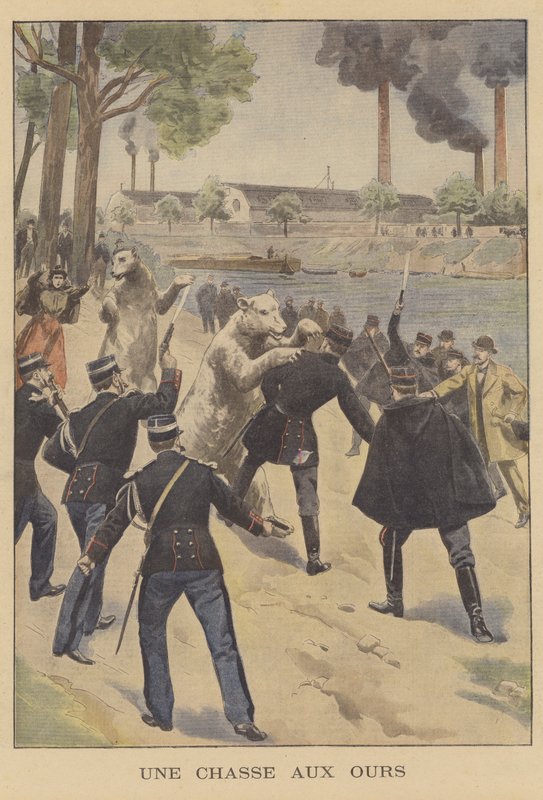 Een berenjacht in Parijs door French School