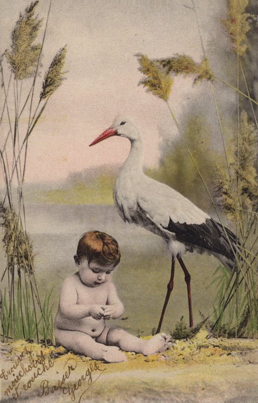 Baby met ooievaar door French Photographer