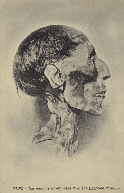 Mummie van Ramses II door French Photographer