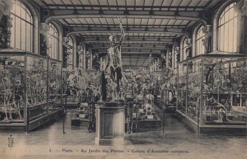 Parijs, Jardin Des Plantes door French Photographer