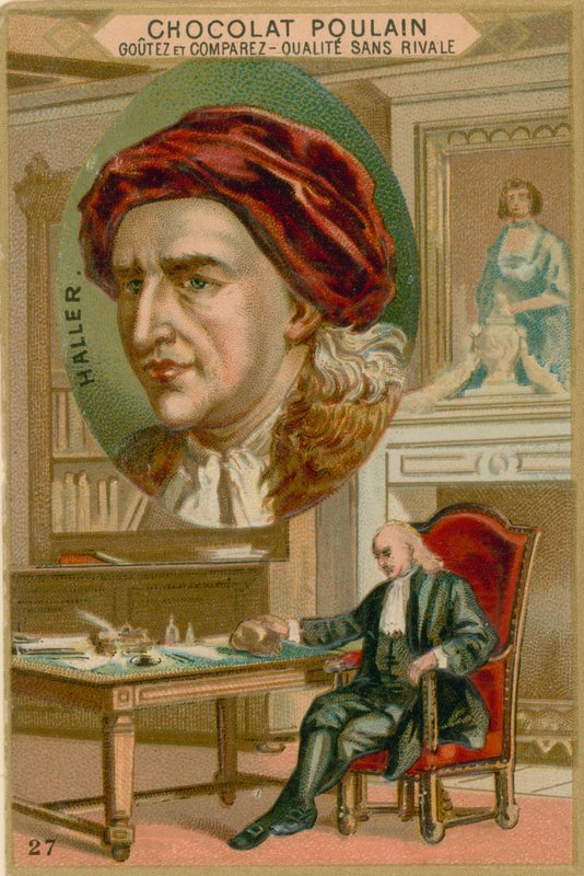 Albrecht von Haller door French School