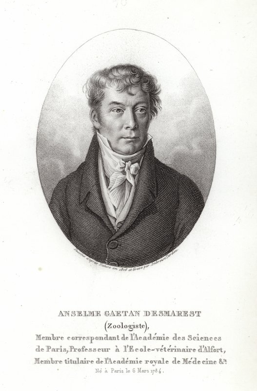 Anselme Gaëtan Desmarest door French School