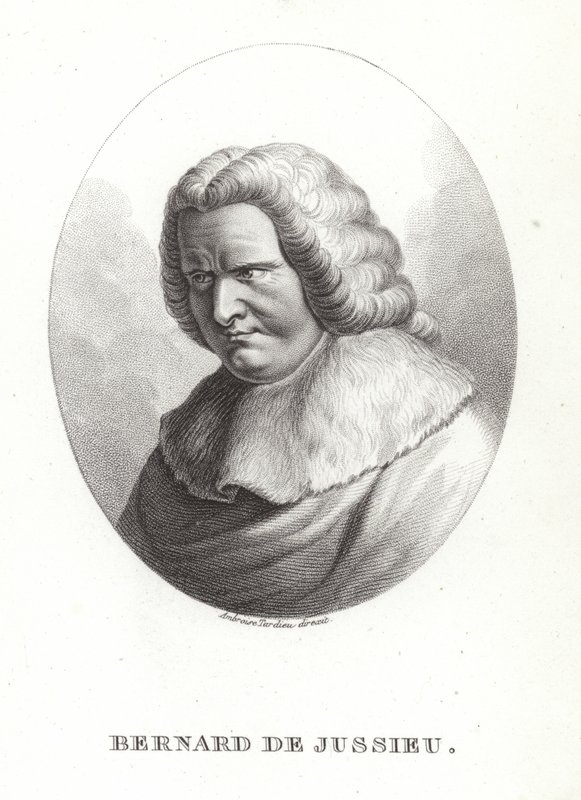 Bernard de Jussieu door French School