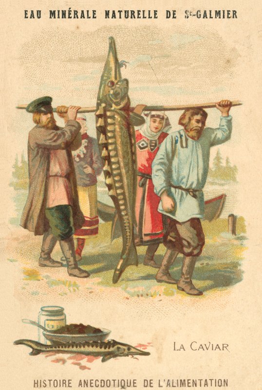 Kaviaar (chromolitho) door French School