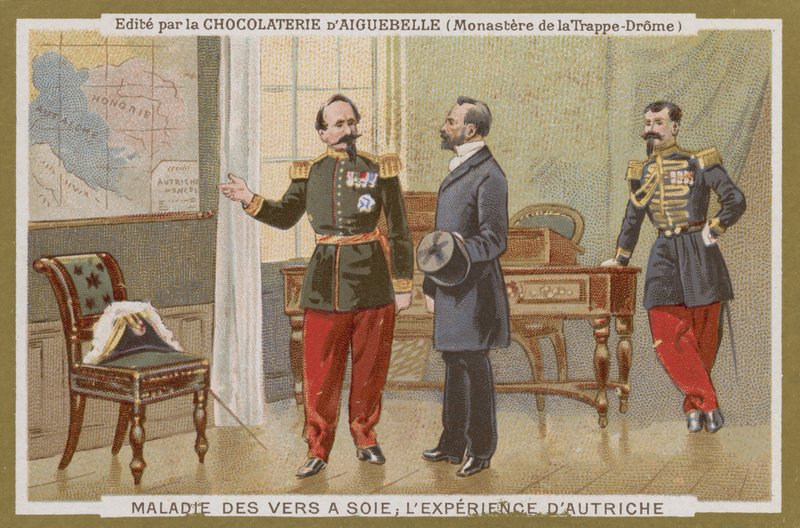 Chocolat d