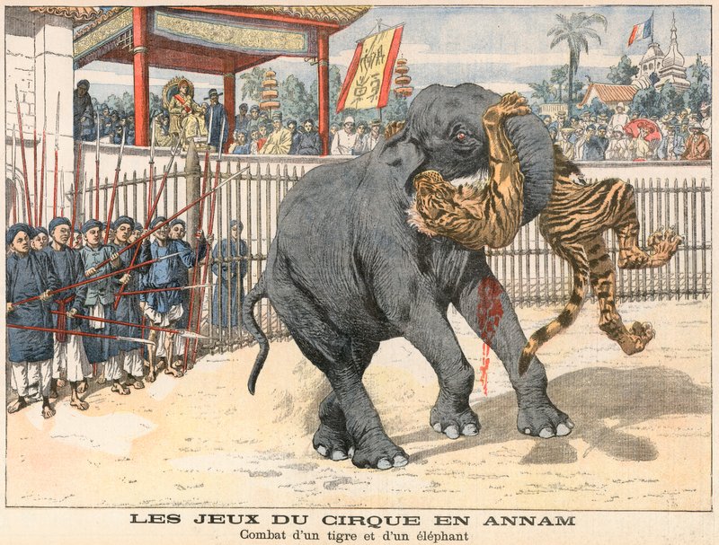 Gevecht tussen een tijger en een olifant door French School