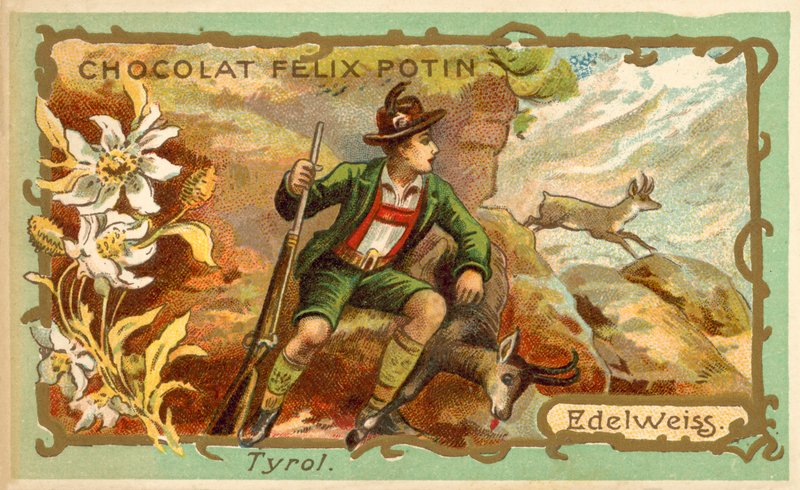 Edelweiss, Tirol (chromolitho) door French School