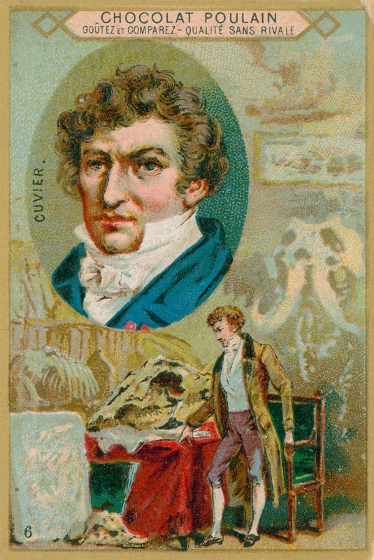 Georges Cuvier door French School