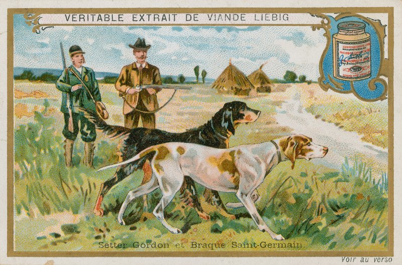 Gordon Setter en Braque St Germain door French School