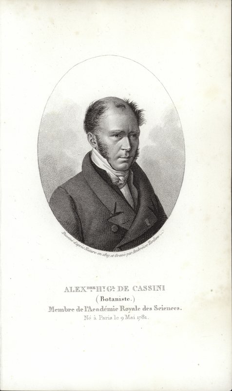 Henri Cassini door French School