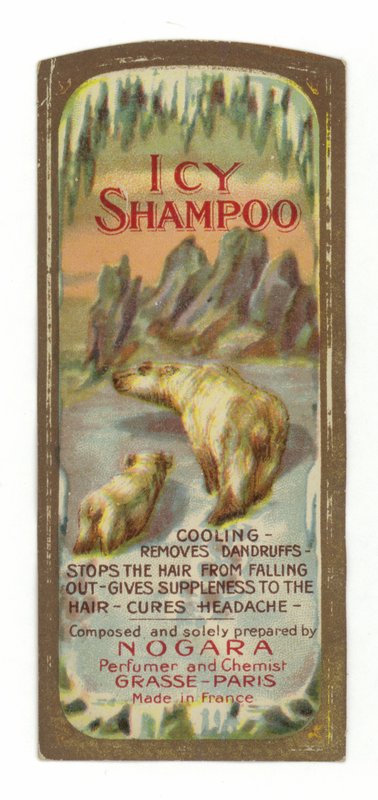 Icy Shampoo Label, Nogara door French School