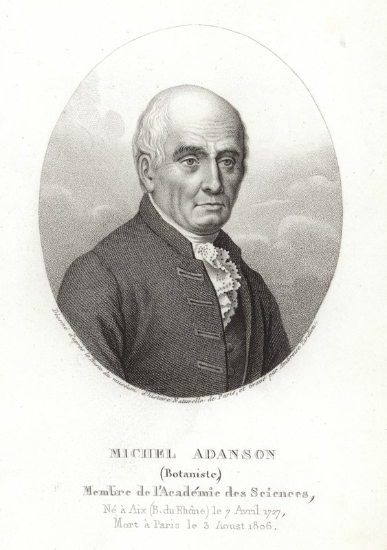Michel Adanson door French School