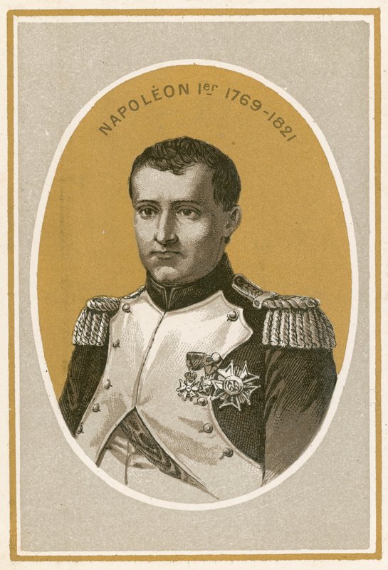 Napoleon I door French School