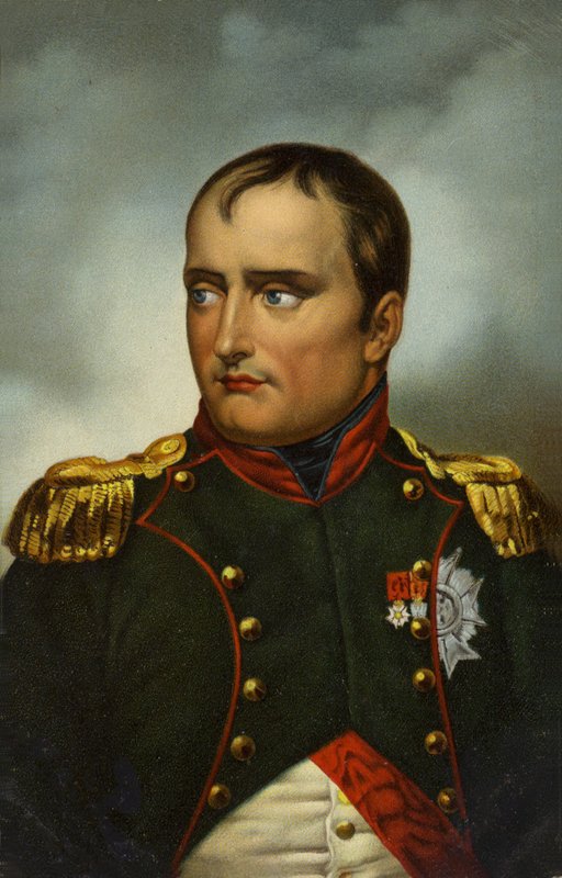 Napoleon I door French School