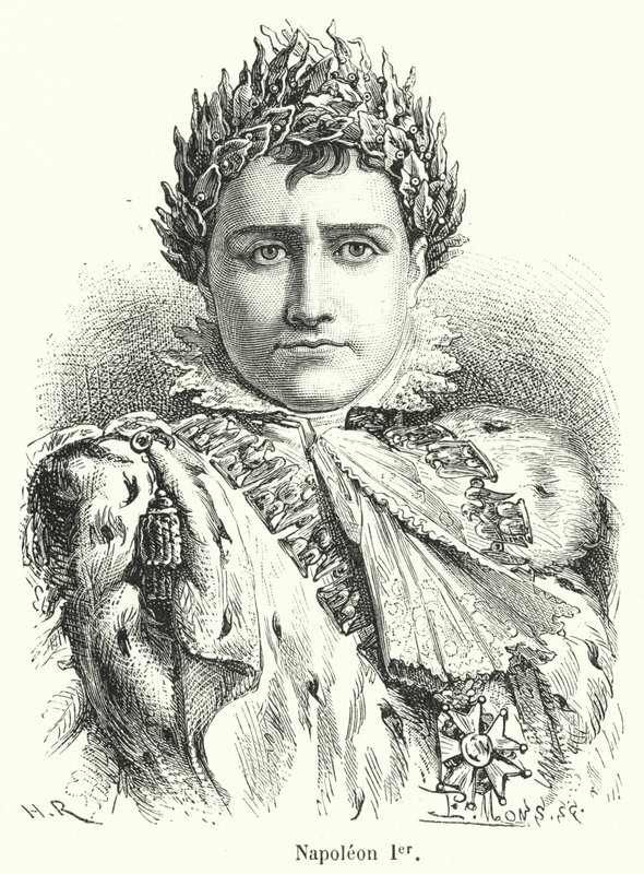 Napoleon I door French School