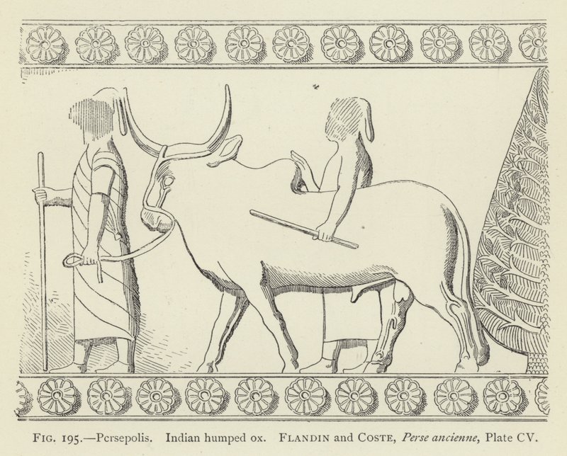 Persepolis, Indiase bultos door French School