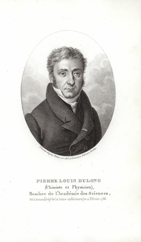 Pierre Louis Dulong door French School