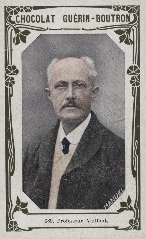 Professor Vaillant door French School