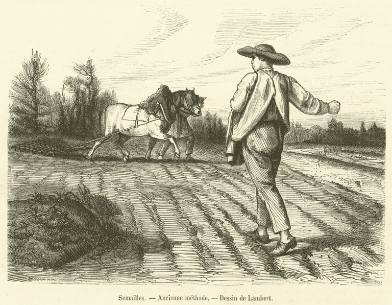 Zaaien, oude methode (gravure) door French School