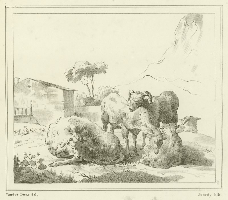 Schapen in een landschap door French School