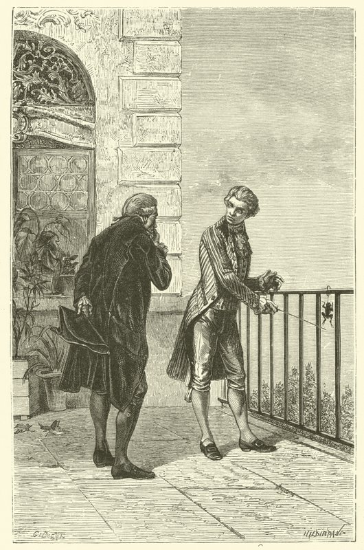 De kikker van Galvani (gravure) door French School