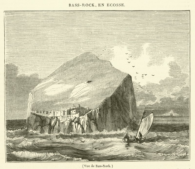 Uitzicht op Bass-Rock (gravure) door French School