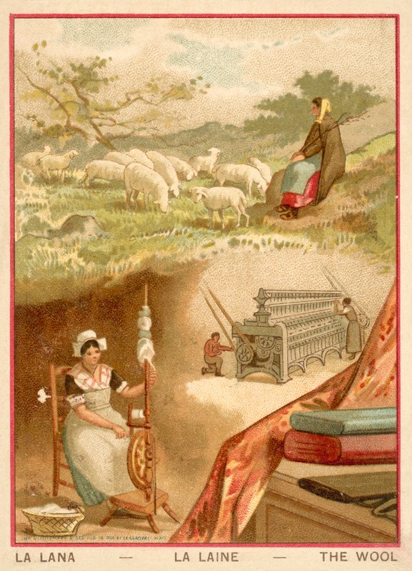 Wol (chromolitho) door French School